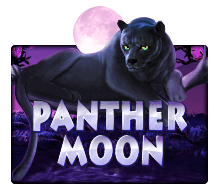 Panther Moon by JOKER